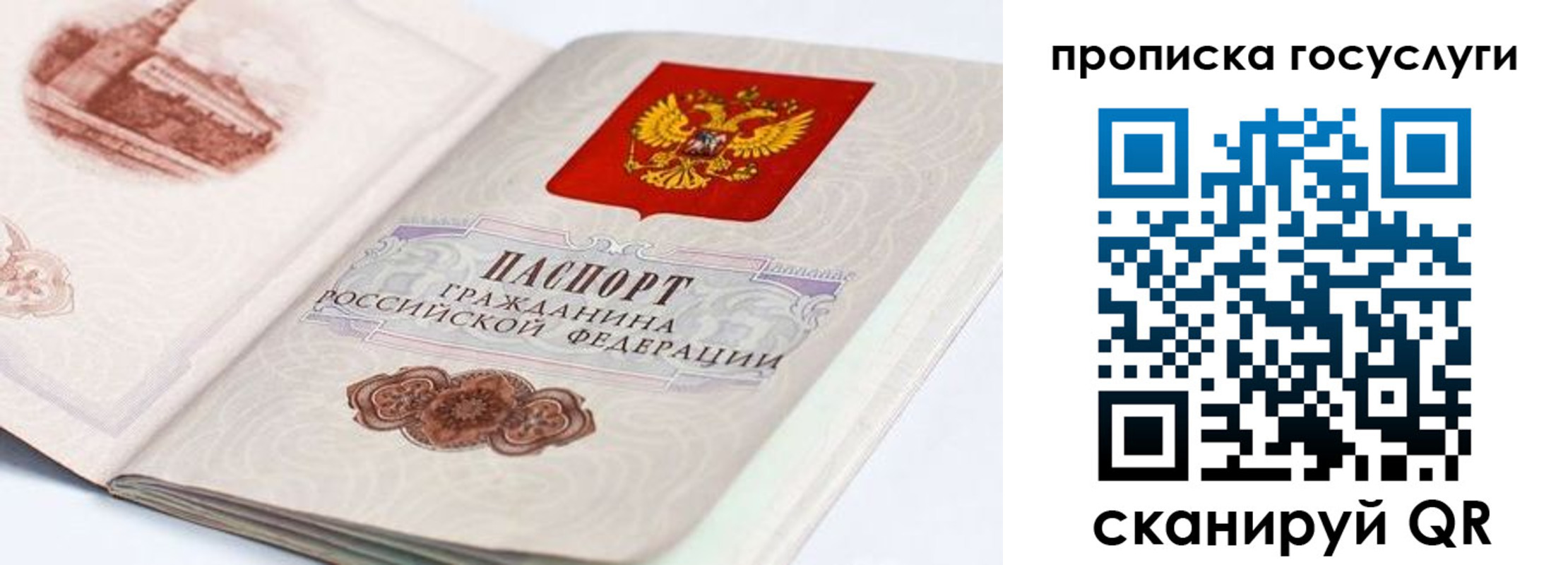 прописка гарантия в Новгородской области